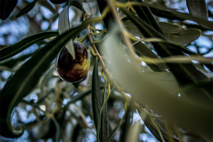 Galaxidi, Greece; October&nbsp;2016